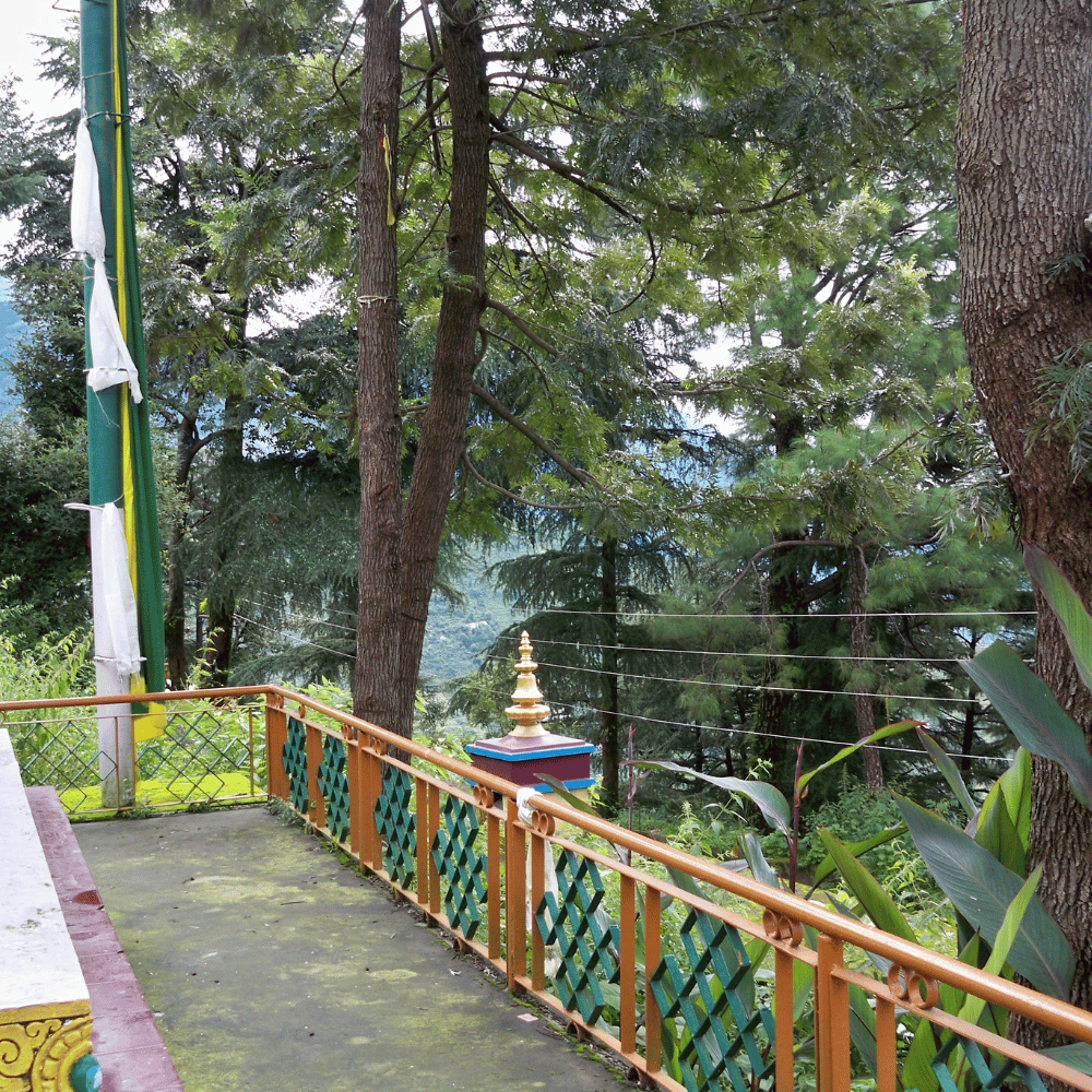 Tsuglagkhang Complex