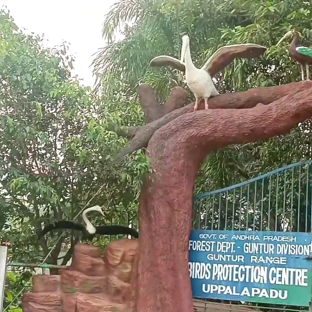 Uppalapadu Bird Sanctuary