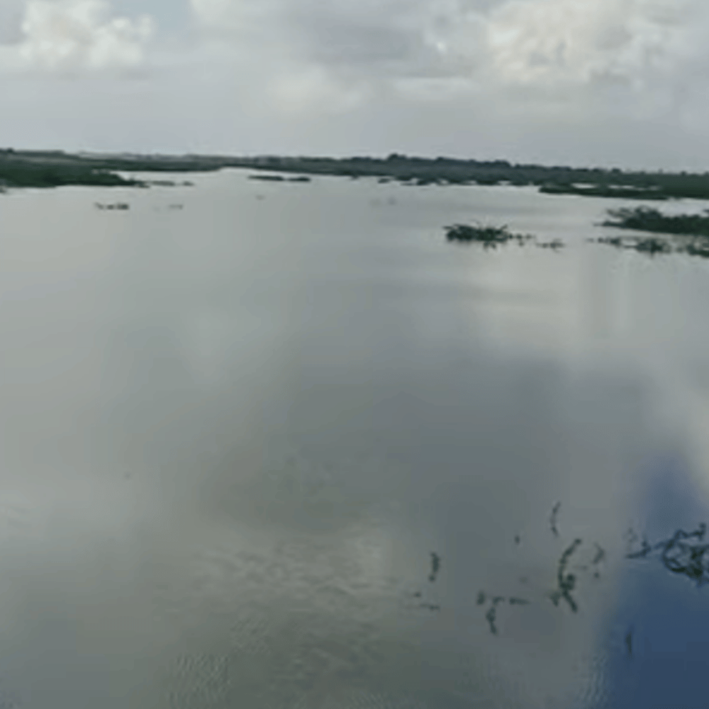 Vaippar River