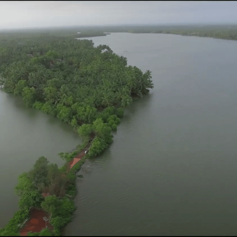 Valiyaparamba Backwaters