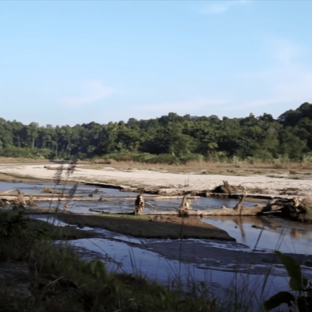Valmiki National Park
