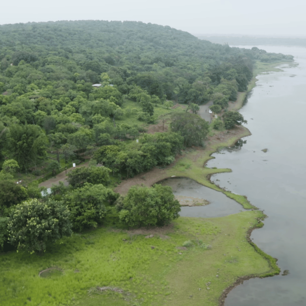 Van Vihar National Park