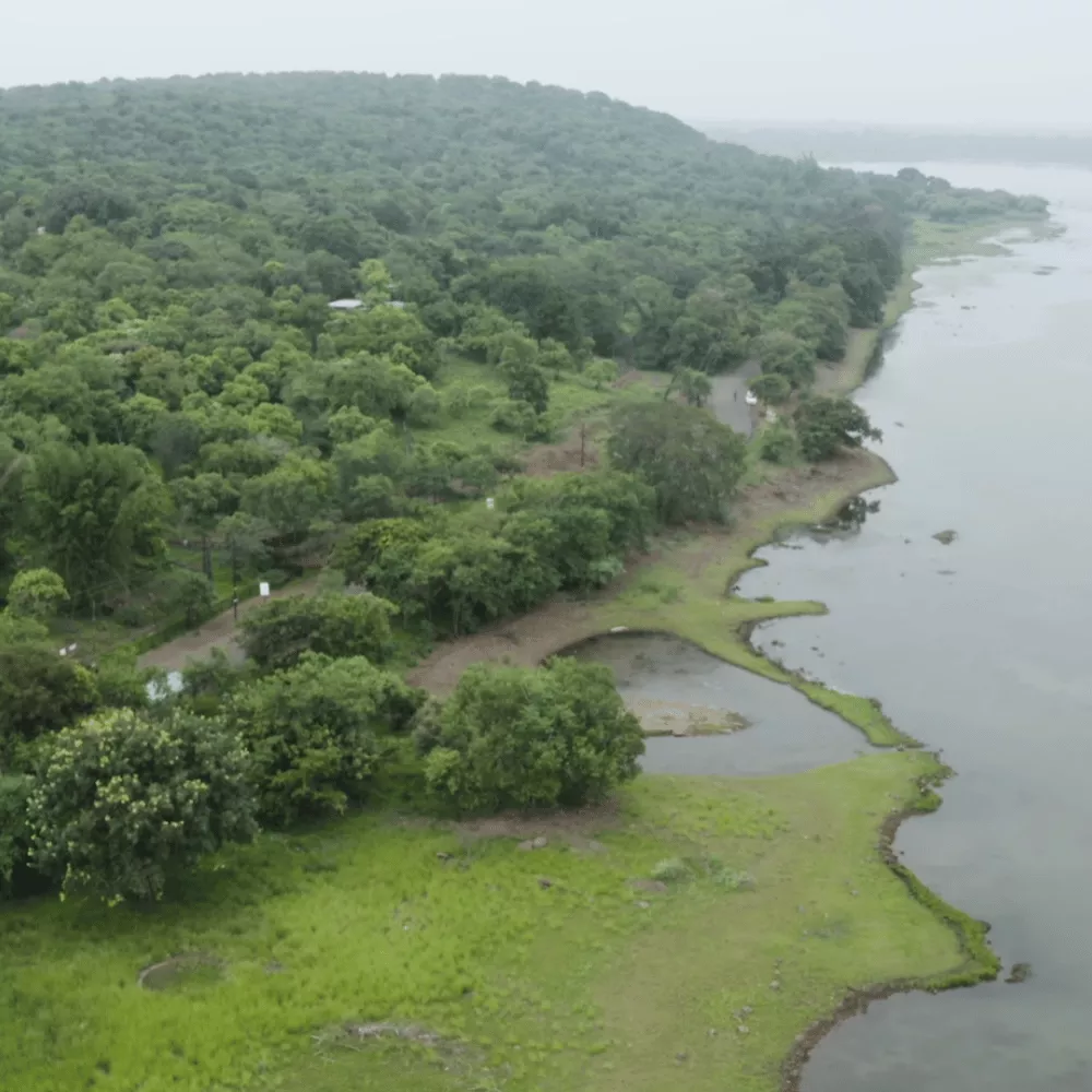 Van Vihar National Park