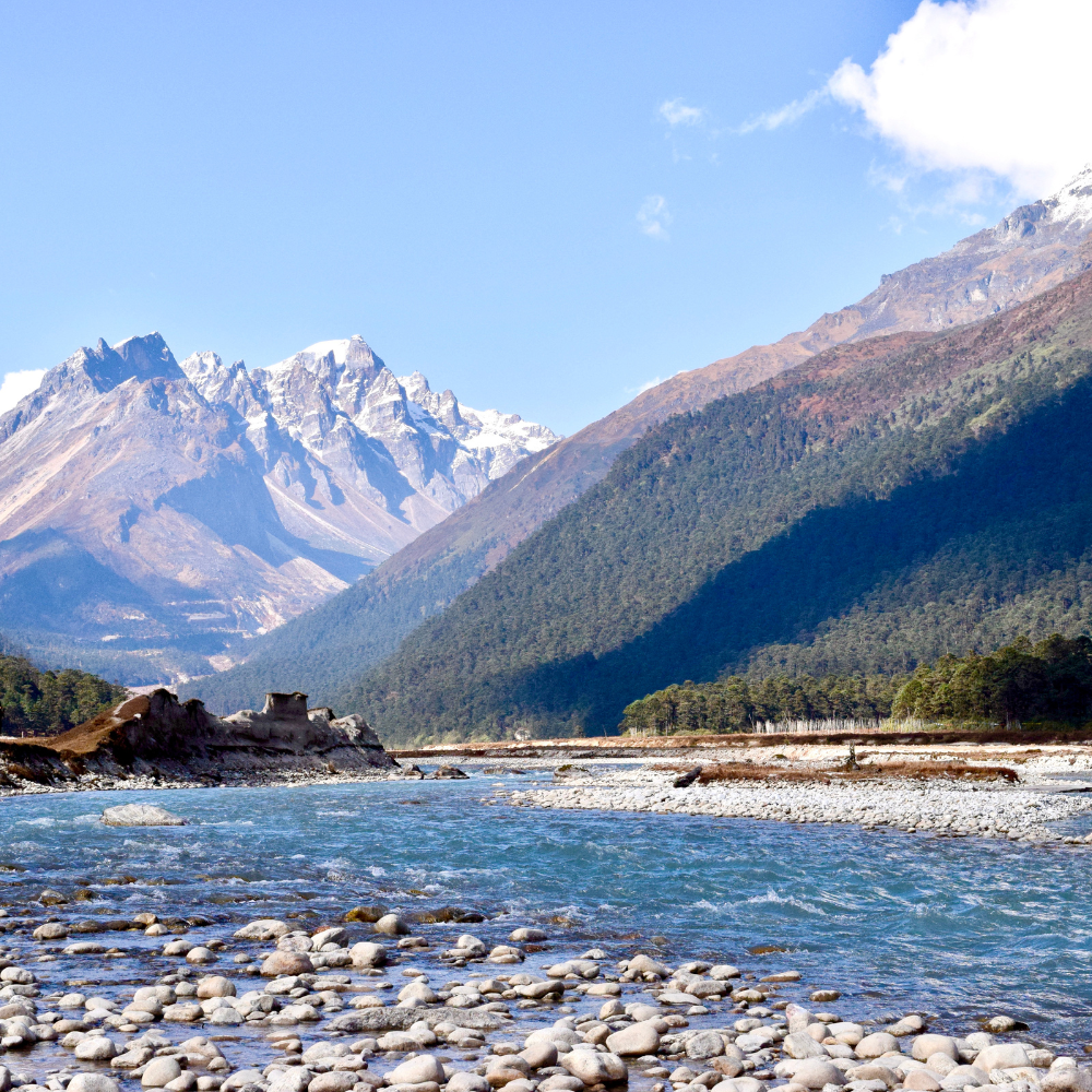 Yumthang Valley